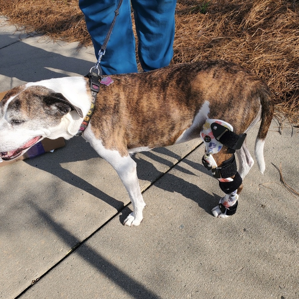 Meet your Posher, Tracy